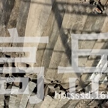 反击成功！长江存储德国专利战获胜：美光被禁售