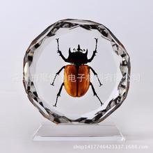 QLC终于不慢了！大普微J5060固态硬盘发布：随机写入提升超7倍