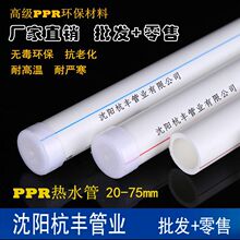小米18 Pro系列还有One More Thing!透明版时隔6年要回归了