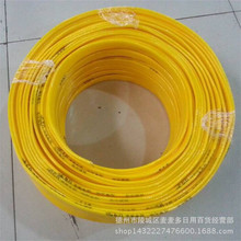 故意吵醒熟睡中的北极熊！男子被罚5300美元
