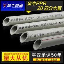 曝iPhone折叠手机大小相当于护照:单手操作无压力