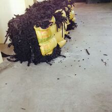 百度港交所正式转为主要上市!实现港美双重主要上市