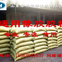 超100个AI药物进入临床阶段 AI制药为何仍被数据卡住