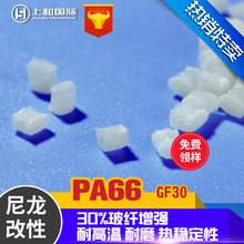 马拉松黄菲个人资料